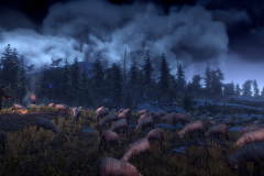 4_The_Witcher_3_Wild_Hunt_Sheep