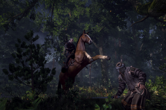 9_The_Witcher_3_Wild_Hunt_Horse_Ride