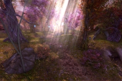 aion-2-5-enviroment-04