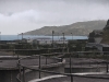 Arma3_screenshot_stratis_1204_04