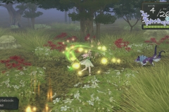 Atelier-Ayesha_10