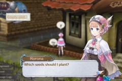 ATELIER-RORONA-PLUS-12
