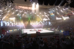 ARENA_001_T