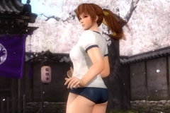 DLC8_EX7_Kasumi_DLC003_new_fix