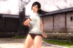 DLC8_EX7_Kokoro_DLC003new_fix