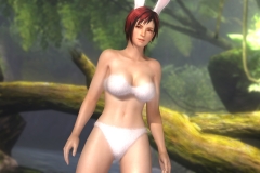 DLC8_EX9_Mil_DLC_006