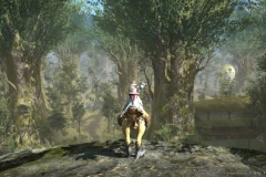 9193FINALFANTASY_XIV_ARR_PUB_11_1280