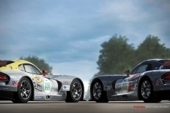 2013_Viper__91__93_1_WM