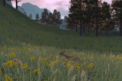 FawnGrazing@theEstate