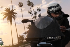 GTAV_8-5