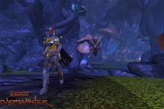 neverwinter_feywild_pack_071213_wm_02