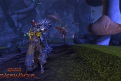 neverwinter_feywild_pack_071213_wm_03