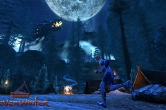 neverwinter_feywild_pack_071213_wm_05