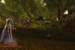 neverwinter_feywild_pack_071213_wm_06