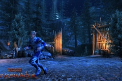 neverwinter_feywild_pack_071213_wm_19