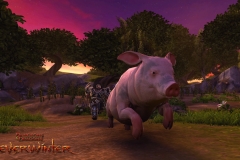 NW_Screenshot_SummerPigChase_082013