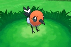 Fletchling_Passerouge_Dartiri_screenshot