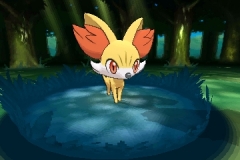 fennekin_feunnec_fynx_1