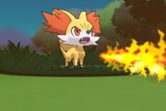 fennekin_feunnec_fynx_2