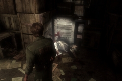 debo-image104_bmp_jpgcopy