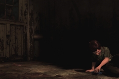 debo-image92_bmp_jpgcopy