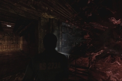 downpour-image96_bmp_jpgcopy