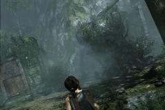 9247this-could-help-copy