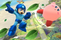 WiiU_SmashBros_scrnNew02_03_E3
