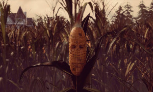 maize-19-5