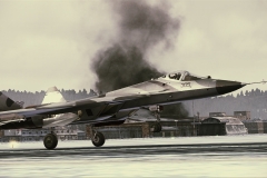 35119ACAH_PAK-FA_004
