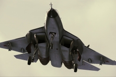 35120ACAH_PAK-FA_005