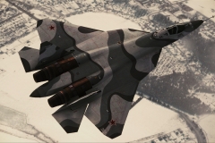 35123ACAH_PAK-FA_013