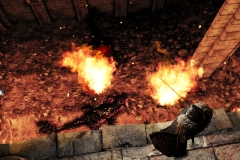 DarkSoulsII-3