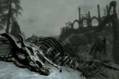DragonSkeleton