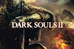 DSII-gamestop-A3poster