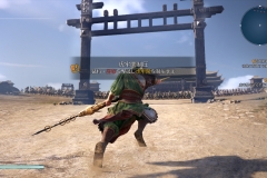 Dynasty Warriors 9 (21)
