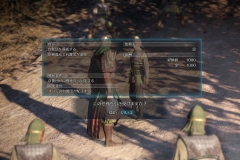 Dynasty Warriors 9 (25)