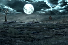 34535sc5_pub_stg_field_001